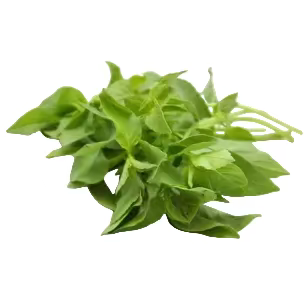 ใบแมงลัก (Hairy Basil) 100g