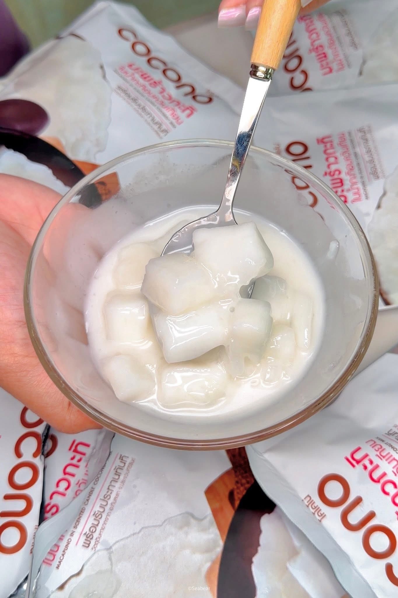 Young Coconut Pudding with Smoked Coconut Milk 180g
