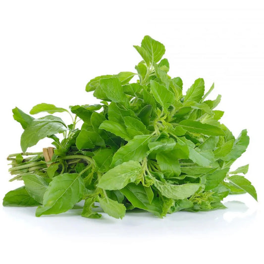 กะเพรา (Holy Basil Leaf) 100g