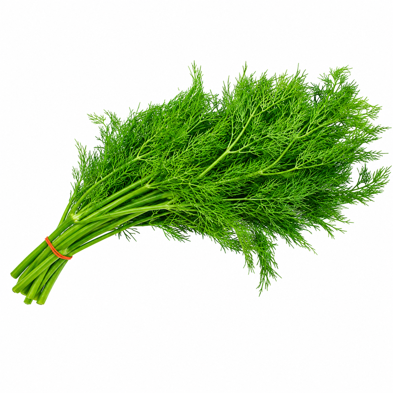ผักชีลาว (Dill) 100g
