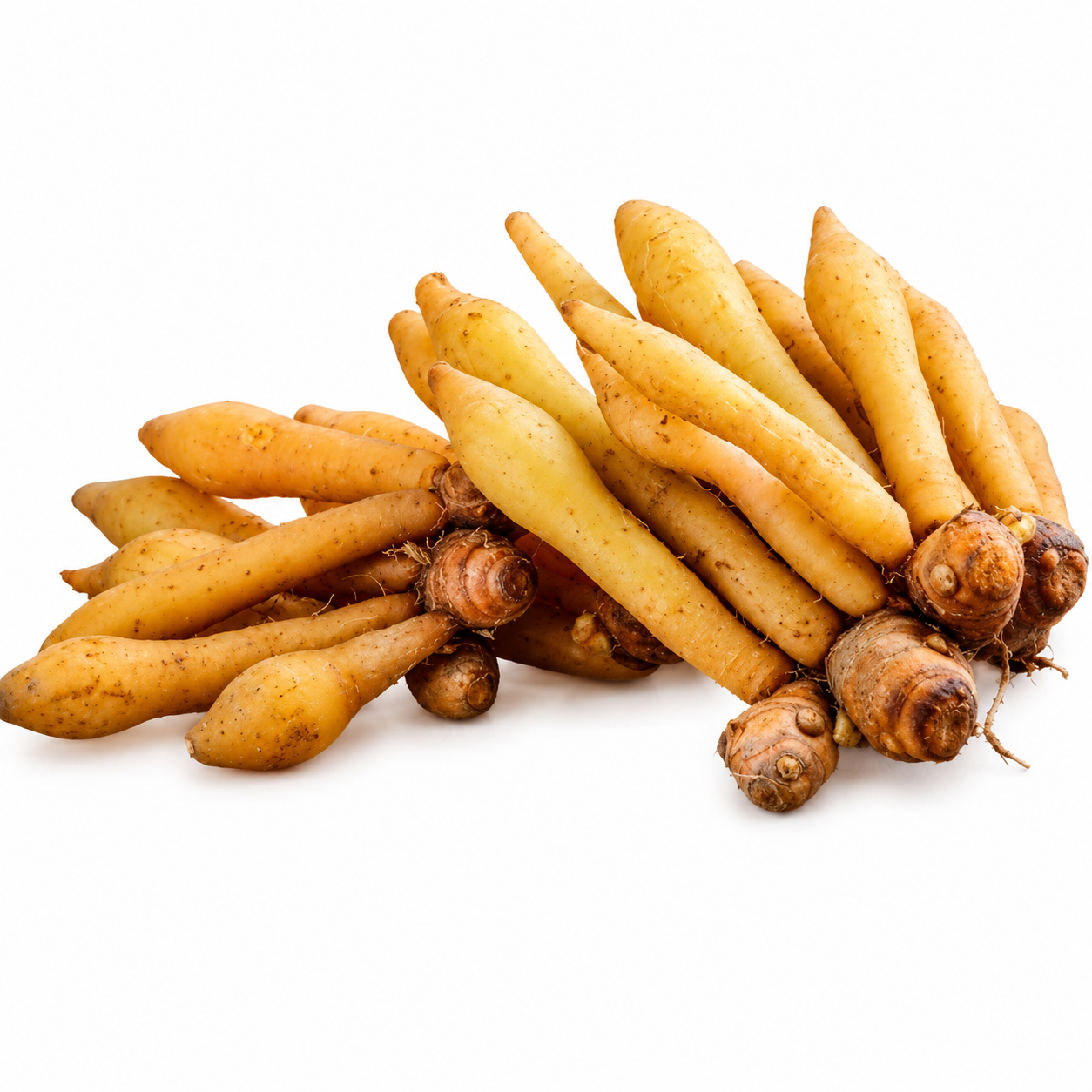 กระชาย (Krachai) 200g