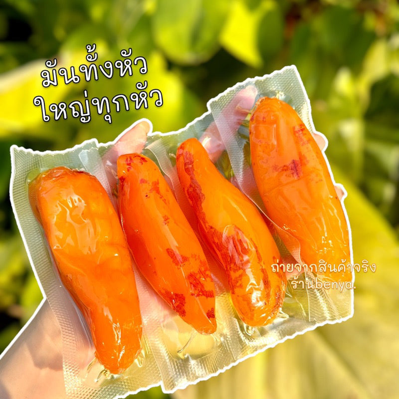 มันหนึบคัตสึโระ