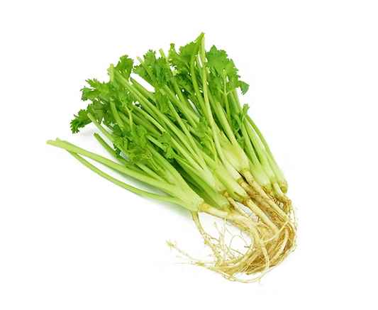 รากผักชี (Coriander Root) 100g