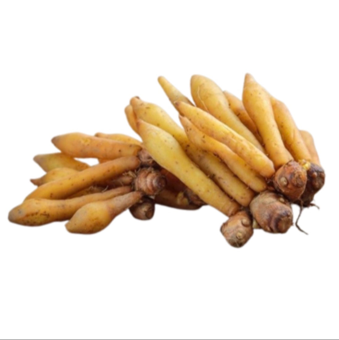 กระชาย (Kaempfer) 100g